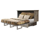 Sleep Chest Stockholm Queen Cabinet Bed with Storage Stockholm Queen Cabinet Bed - Ash IMAGE 3